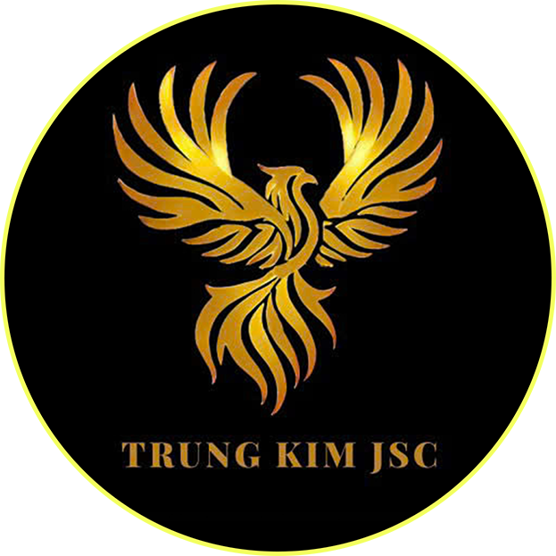 Đặng Xuân Phong (TKIM 1-3 SAO)